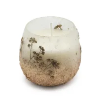 Velas en frascos de vidrio pequeños - Wildlight Woods