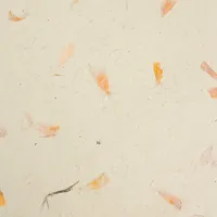 A4 - Papel artesanal Lokta (paquete de 20 hojas) - amarillo caléndula