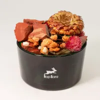 Hop Hare cristales difusores y conjunto floral - El Diablo