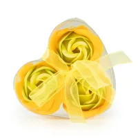 Rosas primavera