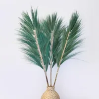 Palmera Verde de Rayung - 1.6m