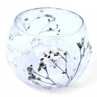Portavelas de Vidrio floral natural Cuenco - Margarita - (8x10cm)