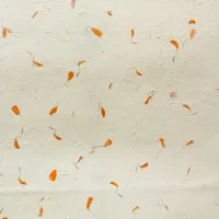 Lokta Craft / Papel de regalo (51x76cm) - Marigold