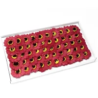 Roja