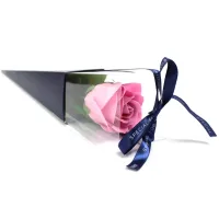 Rosa rosa