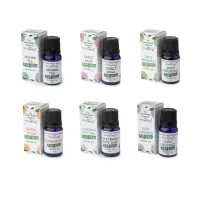 Salvia blanca californiana, té jazmín, lavanda exhuberante, sándalo, pachuli, almizcle dulce