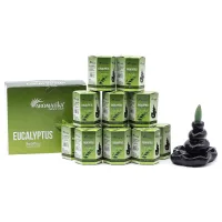 Paquete de 10 Incienso Masala Backflow - Eucalipto