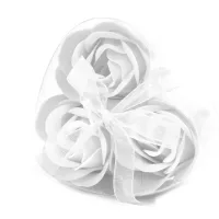 Rosas blanca