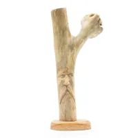 Talla en madera artesanal de parásito - Hombre Verde