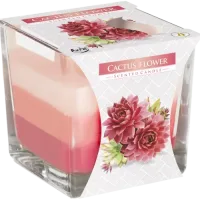 Rainbow Jar Vela - Flor de cactus