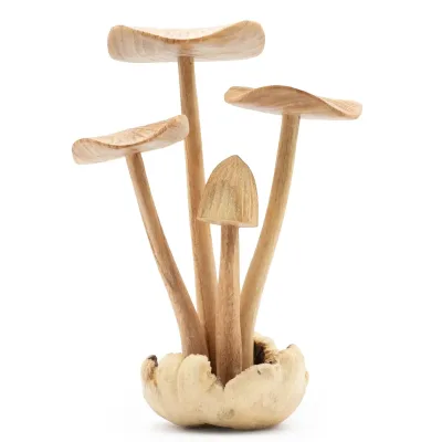 Talla artística en madera de parásito hecha a mano - Conjunto de 4 hongos grandes