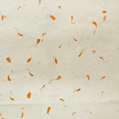 Lokta Craft / Papel de regalo (51x76cm) - Marigold