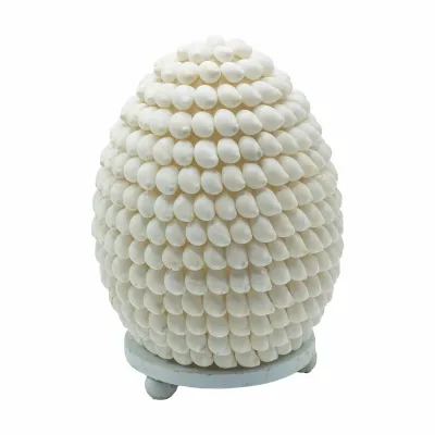 Lámpara Boho de Conchas Marinas - Concha Buting Ovalada