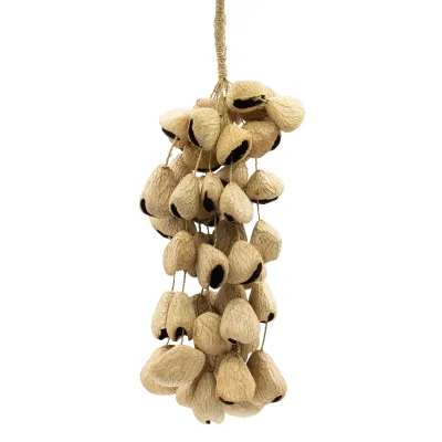Cáscara grande de semilla de Pangi - Sacudidor de nueces natural (50 cáscaras)