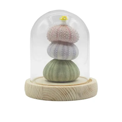 Domo de Jardín Floral Glow - 3 erizos de mar - LED USB