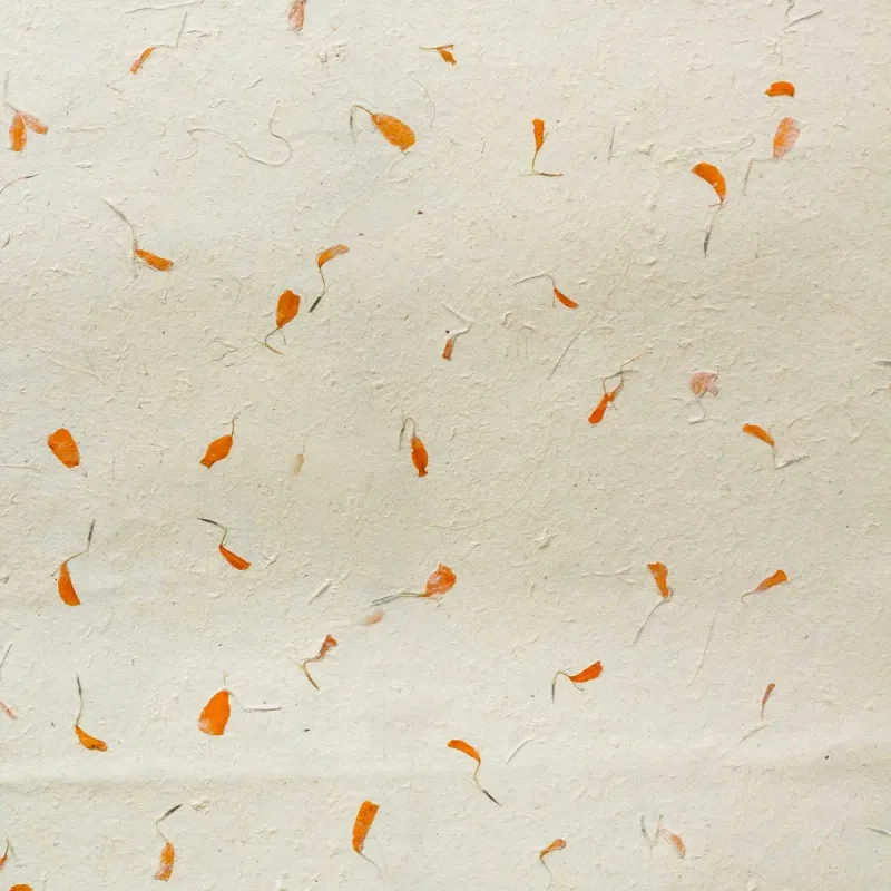 Lokta Craft / Papel de regalo (51x76cm) - Marigold