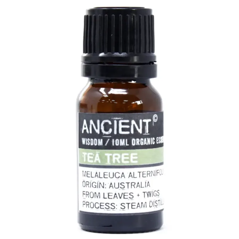 Aceite esencial orgánico - Árbol de té