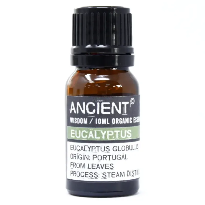 Aceite esencial orgánico - Eucalipto
